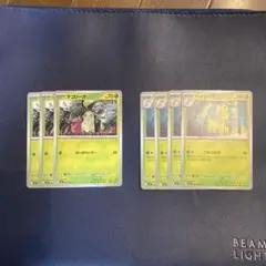 チコリータ3枚　ベイリーフ4枚