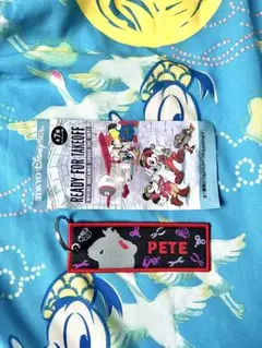 ディズニーシー　ドリームステイクフライト　フライトタグ　ピート