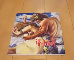 画集  澤山 卓爾