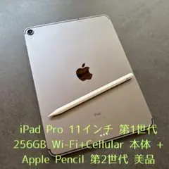 iPad Pro 11 第1 256 Cellular Apple Pencil