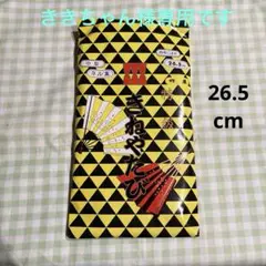 Item thumbnail for item ed0c4515-f348-4b60-8fa8-dc589303d8f7