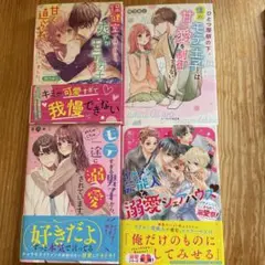 雨乃めこシリーズ　4冊セット