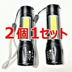 2個1セット LED ライト ペンライト 懐中電灯 小型 USB 充電式 停電