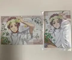 ブルーロック flower crown 糸師冴 アニメイト特典