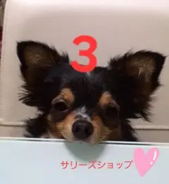 専用❗2点おまとめ