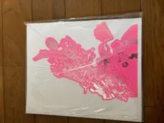 Arashi dream a live 2008 ツアーパンフレット