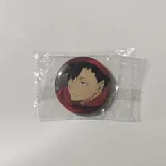 ハイキュー!! 黒尾鉄朗 缶バッジ ガチャガチャ