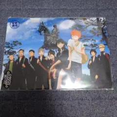 【未開封】ハイキュー‼︎　宮城限定クリアファイルセット＜B＞