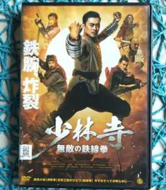 少林寺 無敵の鉄線拳('22中国) ルイス・ファン