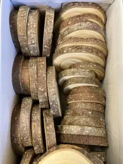 Item thumbnail for item bab9c316-2117-47c8-a62a-aef25b826535