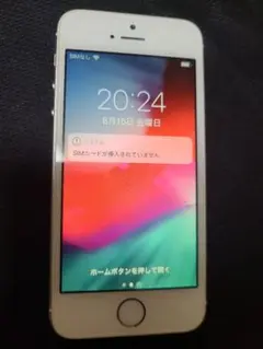 Apple iPhone 5S 16GB docomo版