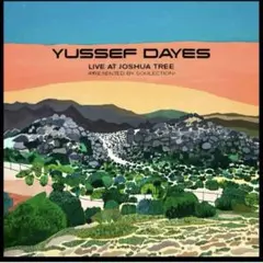新品未開封です The Yussef Dayes Experience レコード