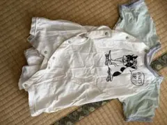 Item thumbnail for item 44bd572d-197c-4996-903e-3665ea5f437a