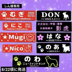 Item thumbnail for item 7323abaa-2967-44b3-8b8e-cd7a360aa697