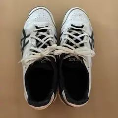 アシックス　スパイク　野球　24.5㎝