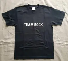 美品　くるり　TEAM ROCK. Tシャツ 20周年記念 ライブ