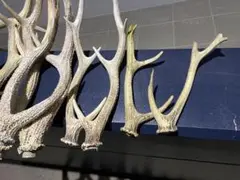 Item thumbnail for item 30373a9d-3c25-491b-8625-526e6ef1b753