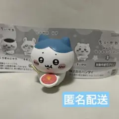 ちいかわ みんなでもぐもぐパーティ3 ハチワレ