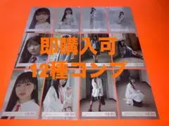 佐藤愛桜　櫻坂46 ランダム生写真　12種コンプ