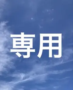 専用ページ　　4番振袖&エプロン被布セット