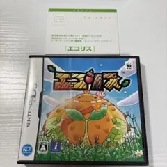 美品　ハガキ付き　エコリス　端子清掃済み　DSソフト
