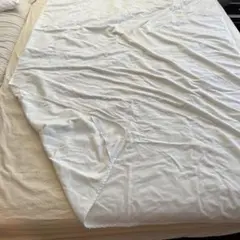 Item thumbnail for item ecab63b4-15f6-44f0-afd8-0f2e96298671