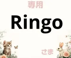 専用