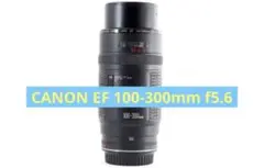 Item thumbnail for item 751763dd-82c8-4cc9-aaec-54eb507ba515