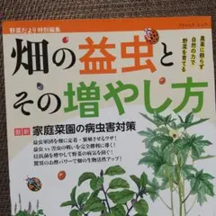 農薬に頼らず自然の力で野菜を育てる畑の益虫とその増やし方