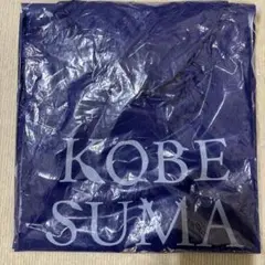 Item thumbnail for item a22a73cc-d5d6-4d31-9eae-fd928482b5cb