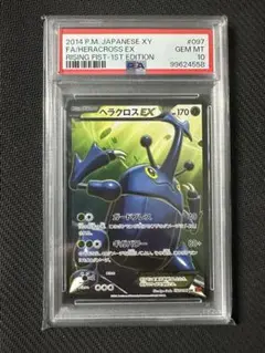 2025年最新】ヘラクロス psa10の人気アイテム - メルカリ