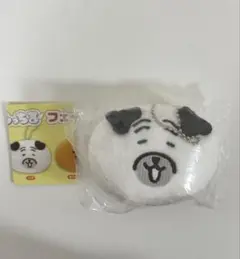 ナガノキャラクターズ もっちるフェイスマスコット　パグさん