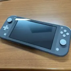 Nintendo Switch NINTENDO SWITCH LITE グレー