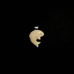 Item thumbnail for item 6c68b738-7385-4dd6-985a-e450af5eb38e