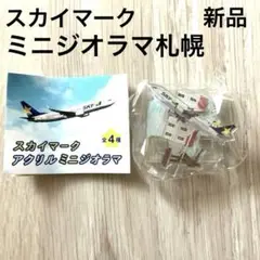 新品　スカイマーク　SKYMARK 模型　LUPA社 BC1340-324x235.jpg