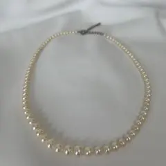 Item thumbnail for item 80a09f7c-ba80-414e-bdd6-82049e0e0cc5