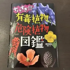 Item thumbnail for item 81026df8-4fe5-4c96-949d-9d2613703bc9