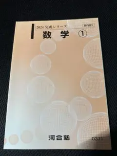 新品　河合塾　数学1 完成シリーズ　2024 教科書　大学入試　高校