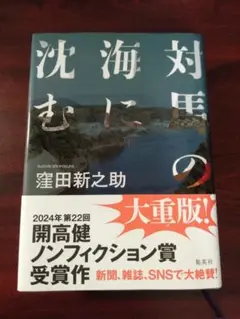 対馬の海に沈む