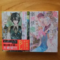 双子の王子に双子で婚約したけど「じゃない方」だから闇魔法を極める