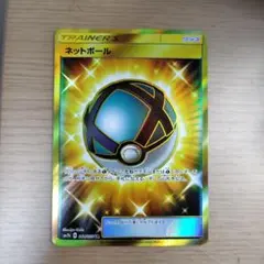 ポケモンカード ネットボール UR