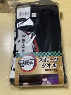 Item thumbnail for item 82701284-38f9-4f19-b27f-cb3700dbf959