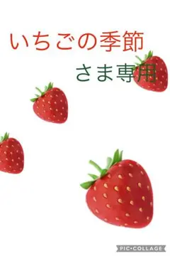 犬印 らくちんモールドブラ＆ショーツ