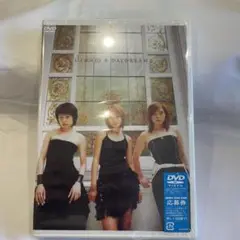 dream/DAYDREAM 2