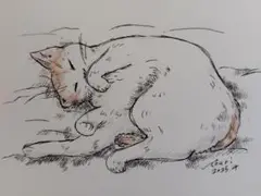 お昼寝にゃんこ／ ポストカードサイズ 手描き 原画 オリジナル