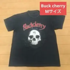 2025年最新】Buckcherry tシャツの人気アイテム - メルカリ