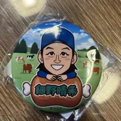 細野晴希 缶バッジ ガチャ