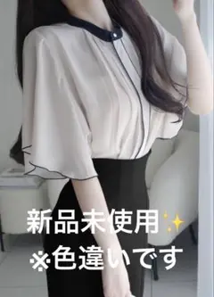 ピンタックフレアスリーブシフォンブラウス［fo2098］