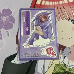 中野二乃 アクリルフィギュア うさぎ着ぐるみ　五等分の花嫁×ドン・キホーテ