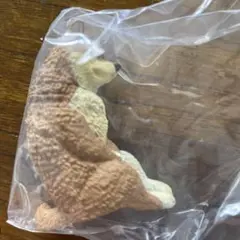 いっしょにねんね わんこ しばいぬ